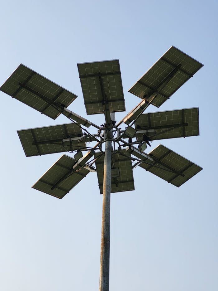 Pexels Photo 34873149